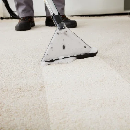 Carpet cleaning services in Munich