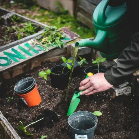 GartenService in München